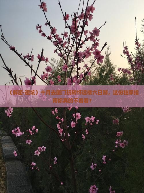 十月到厦门怀远楼六日游
