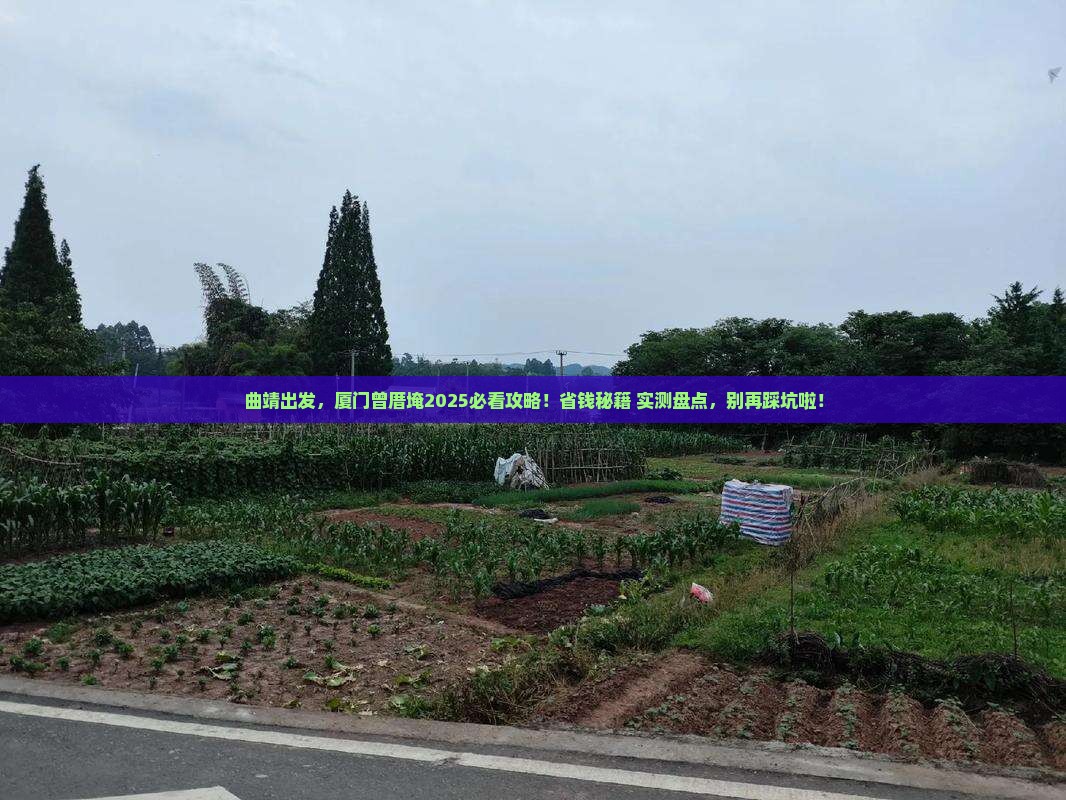 曲靖去厦门曾厝埯旅游