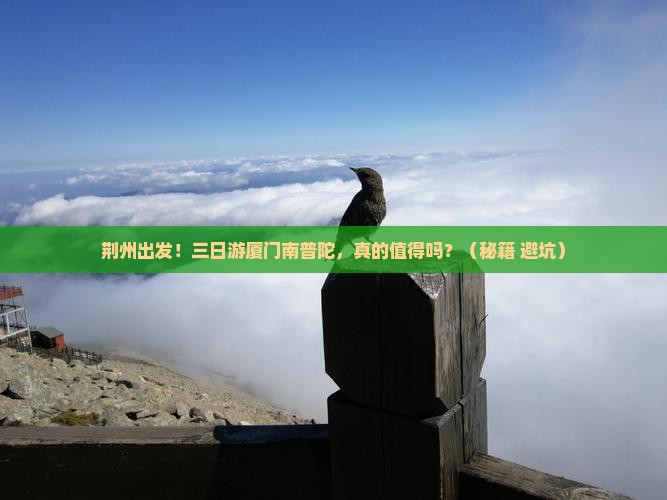 荆州去厦门南普陀三日游