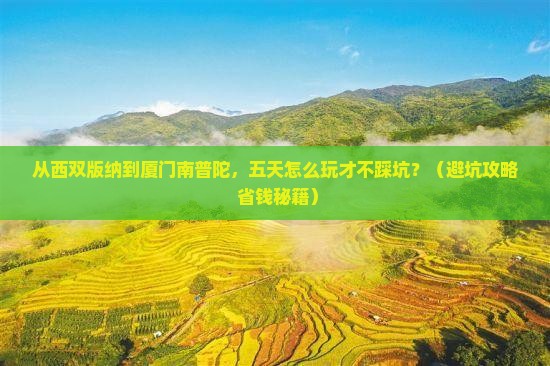西双版纳去厦门南普陀五日游