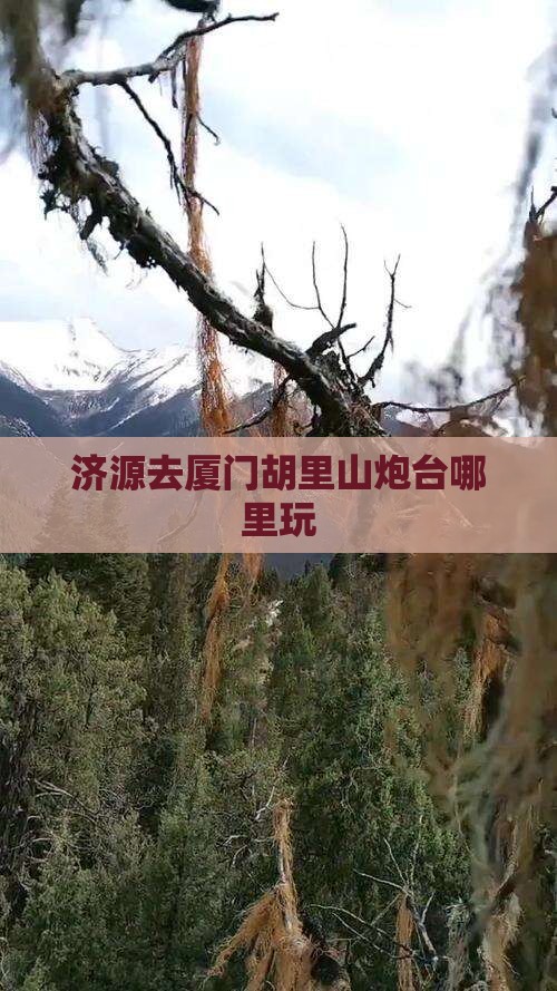 济源去厦门胡里山炮台哪里玩