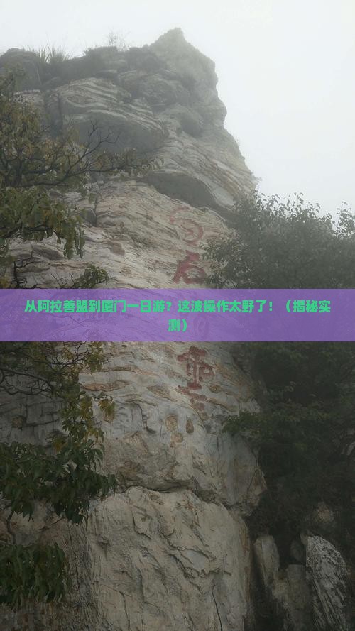 阿拉善盟去厦门一日