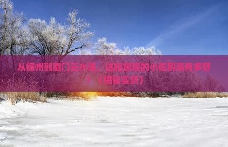 锦州去厦门云水谣旅游小吃