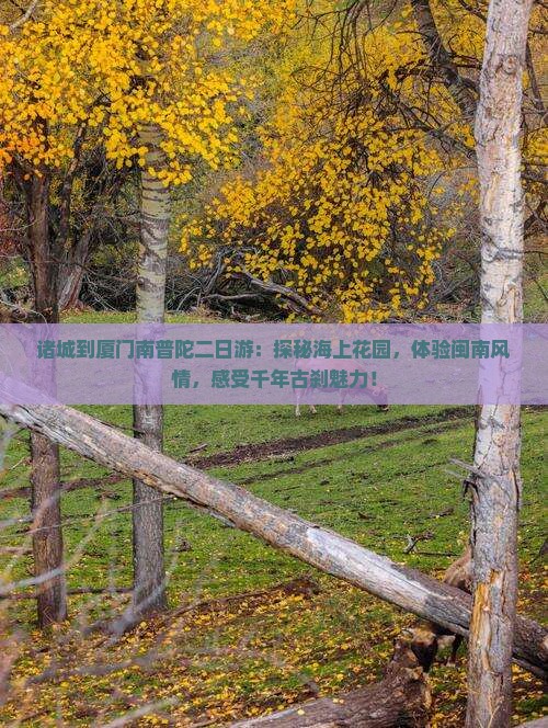 诸城到厦门南普陀二日游