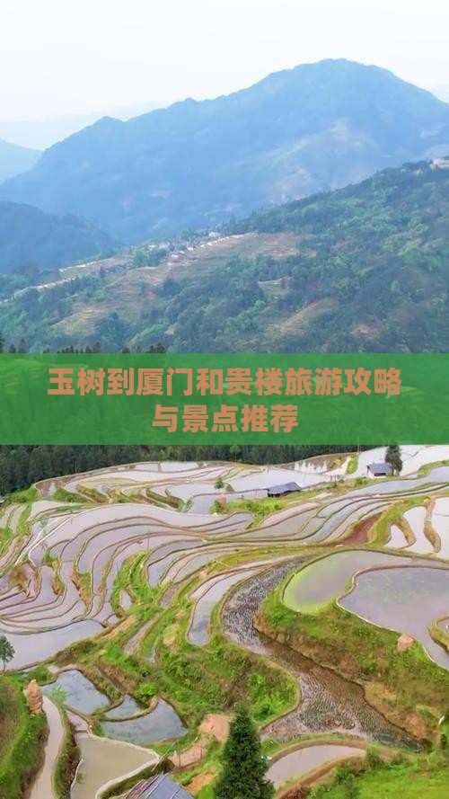 玉树到厦门和贵楼旅行社