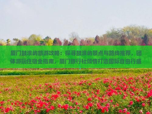 厦门鼓浪屿旅游攻略：探寻鼓浪屿景点与路线推荐，团体游玩住宿全指南，厦门旅行社倾情打造国际自由行盛宴