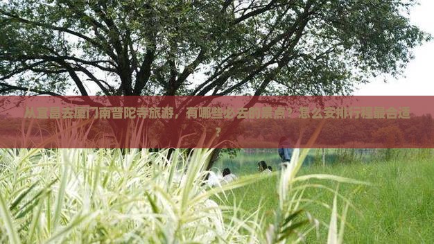 从宜昌去厦门南普陀寺旅游，有哪些必去的景点？怎么安排行程最合适？