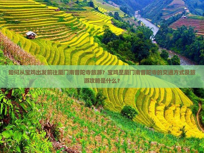 如何从宝鸡出发前往厦门南普陀寺旅游？宝鸡至厦门南普陀寺的交通方式及旅游攻略是什么？