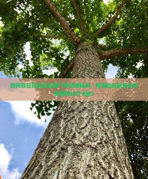 如何在日照出发去厦门怀远楼畅游，有哪些必玩景点和新晋网红打卡地？
