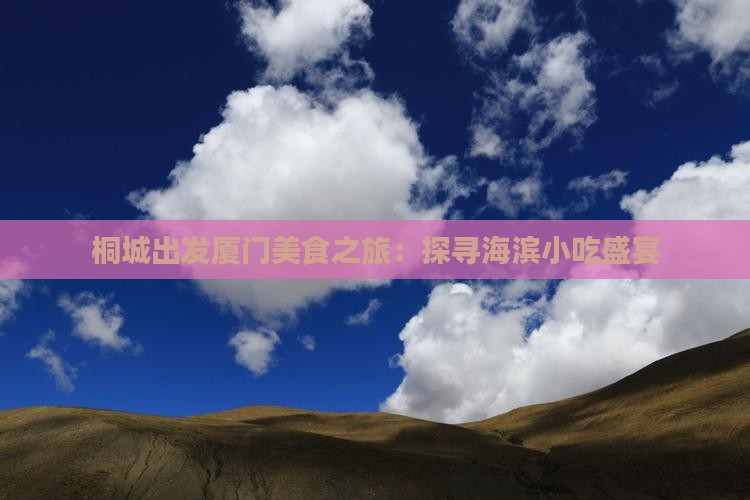 桐城出发厦门美食之旅:探寻海滨小吃盛宴 桐城出发厦门美食之旅:探寻海滨小吃盛宴