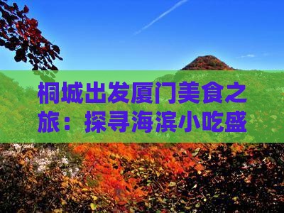 桐城出发厦门美食之旅:探寻海滨小吃盛宴 桐城出发厦门美食之旅:探寻海滨小吃盛宴