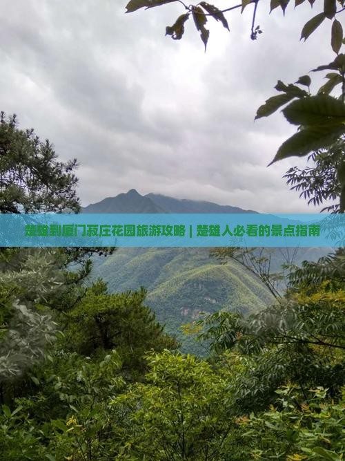 楚雄到厦门菽庄花园旅游攻略 | 楚雄人必看的景点指南