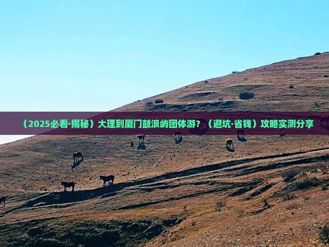 大理到厦门鼓浪屿团体旅游
