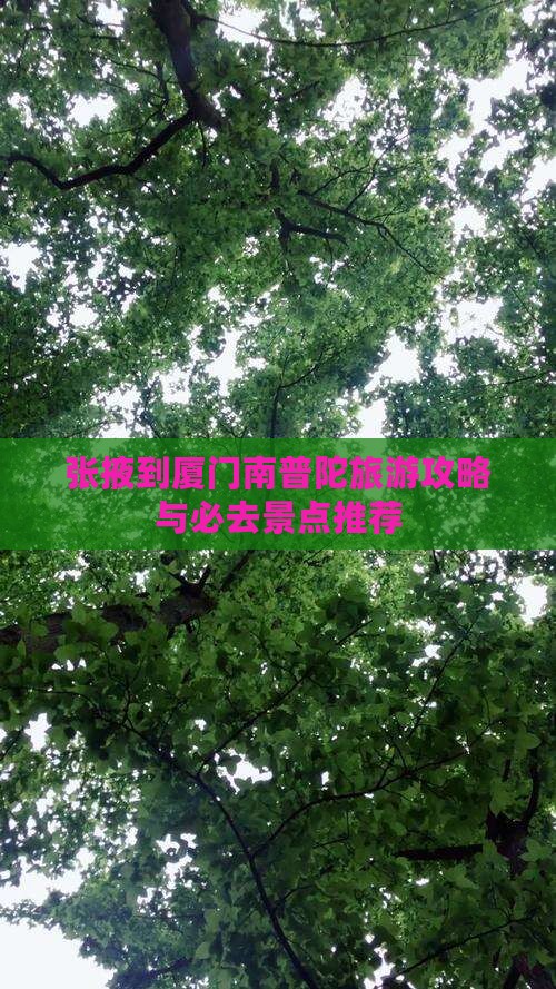 张掖到厦门南普陀必去地