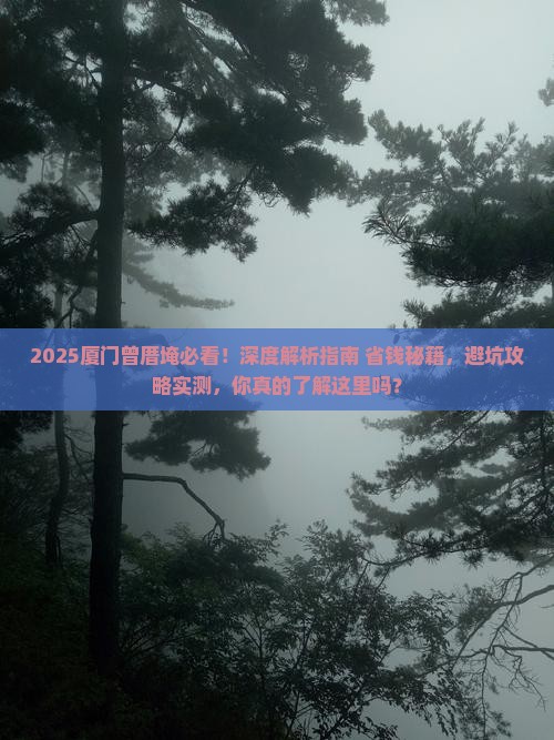 七月到厦门曾厝埯景点