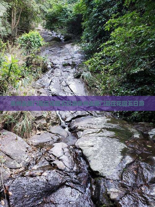 泉州去厦门菽庄花园五日游