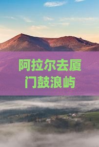 阿拉尔去厦门鼓浪屿必去地