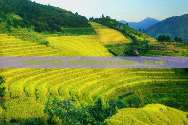 咸阳到厦门怀远楼必去地