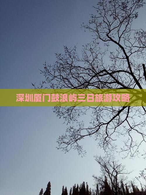 深圳去厦门鼓浪屿三日游