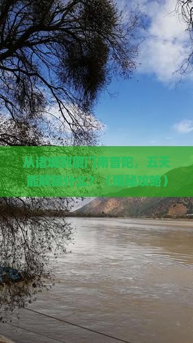 诸城到厦门南普陀五日游