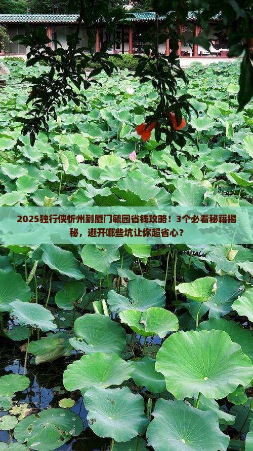忻州到厦门毓园攻略