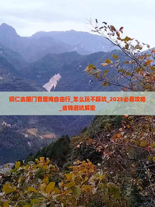 铜仁去厦门曾厝埯自由行