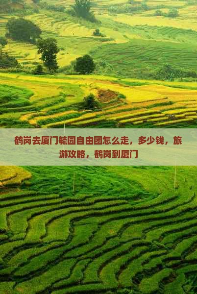 鹤岗去厦门毓园自由团