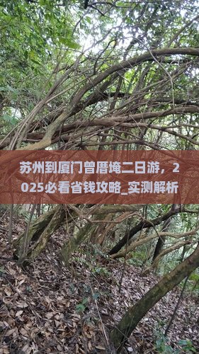 苏州到厦门曾厝埯二日游