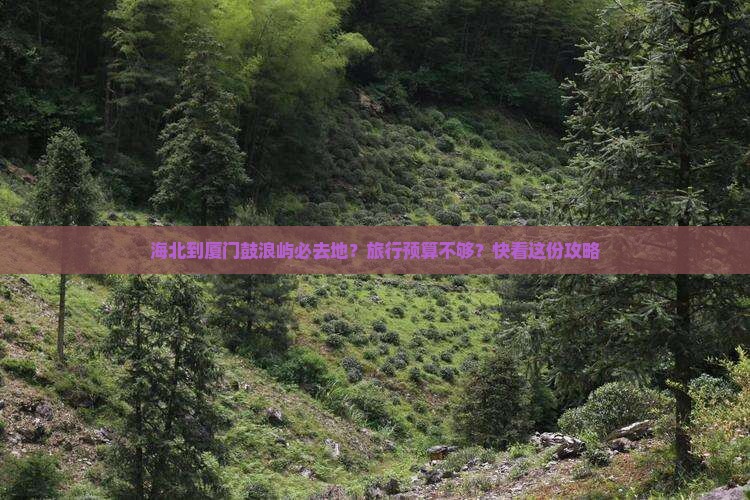 海北到厦门鼓浪屿必去地？旅行预算不够？快看这份攻略