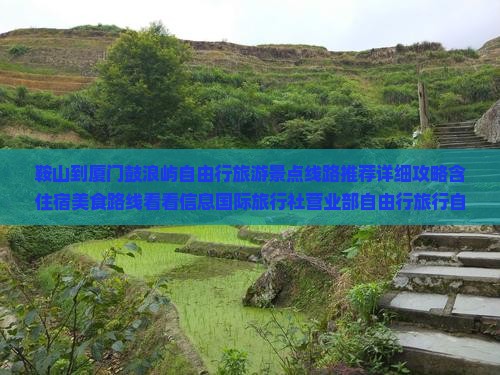 鞍山到厦门鼓浪屿自由行旅游景点线路推荐详细攻略含住宿美食路线看看信息国际旅行社营业部自由行旅行自由