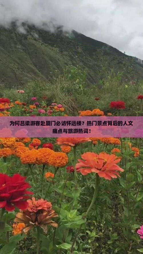 为何吕梁游客赴厦门必访怀远楼？热门景点背后的人文痛点与旅游热词！