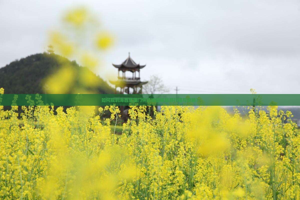 如何规划海西至厦门怀远楼团体旅游行程与攻略？