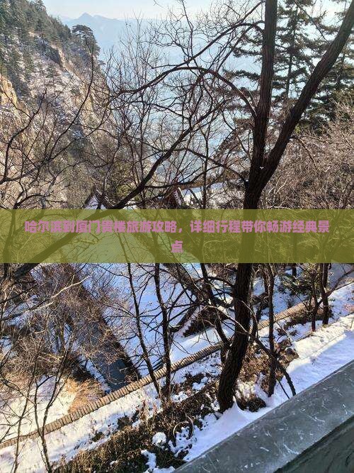 哈尔滨到厦门贵楼旅游攻略，详细行程带你畅游经典景点