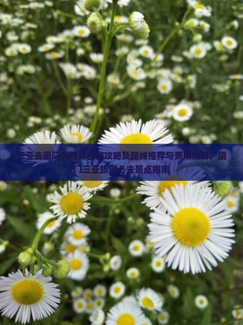 三亚去厦门毓园六日游攻略及路线推荐与费用预算，厦门三亚旅游必去景点指南