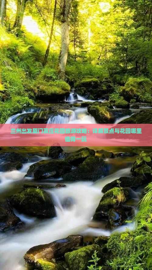 兰州出发厦门菽庄花园旅游攻略：详解景点与花园哪里值得一玩