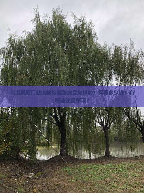 乌海到厦门鼓浪屿旅游路线是怎样的？需要多少钱？有哪些注意事项？