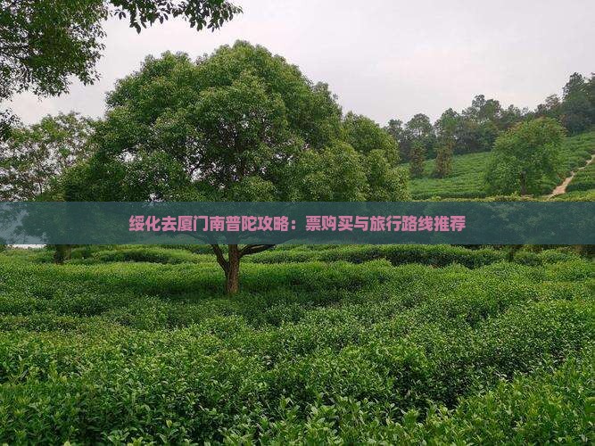 绥化去厦门南普陀攻略：票购买与旅行路线推荐