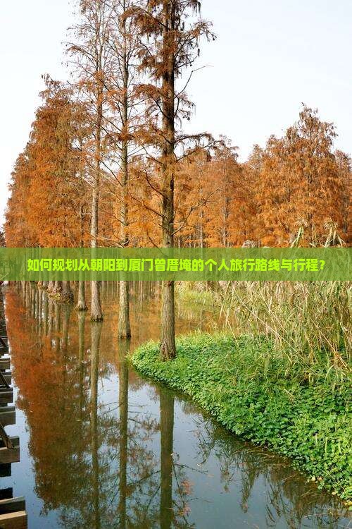 如何规划从朝阳到厦门曾厝埯的个人旅行路线与行程？