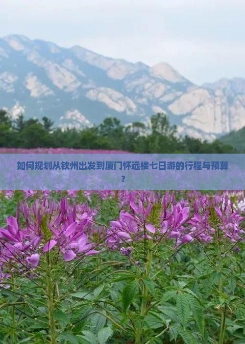 如何规划从钦州出发到厦门怀远楼七日游的行程与预算？