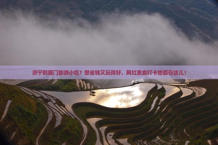 济宁到厦门旅游小吃？想省钱又玩得好，网红美食打卡地都在这儿！