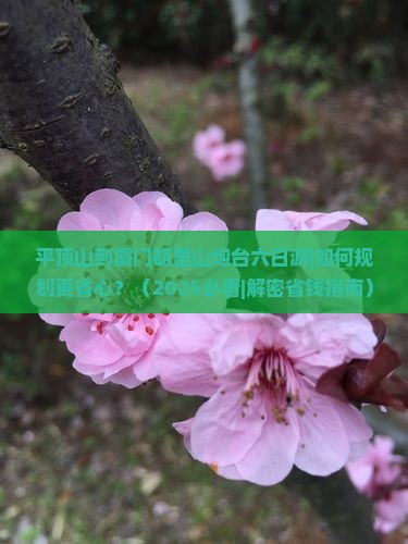 平顶山到厦门胡里山炮台六日游