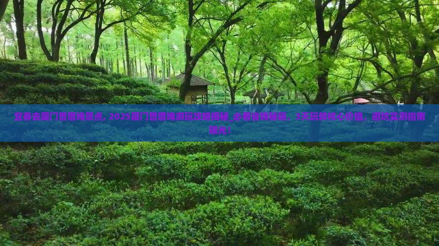 宜春去厦门曾厝埯景点