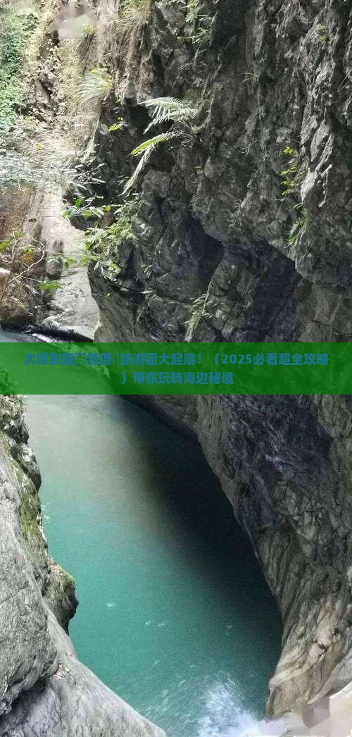 太原到厦门曾厝埯大型旅游团