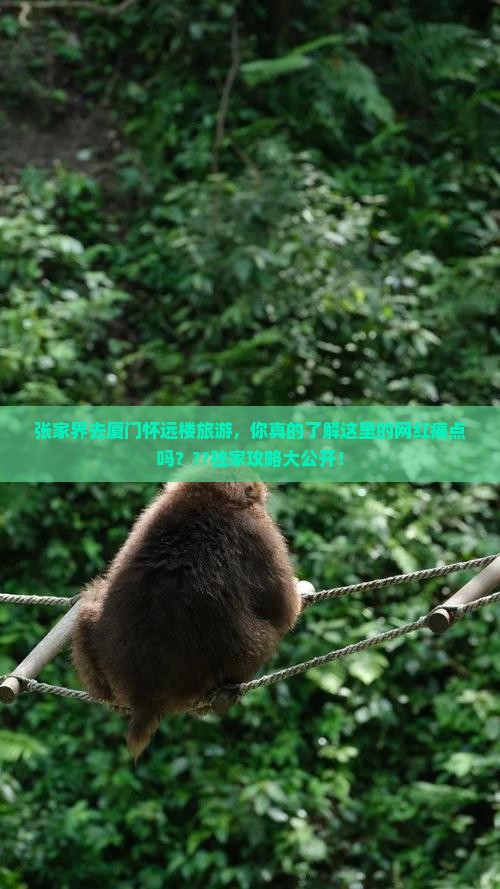 张家界去厦门怀远楼旅游