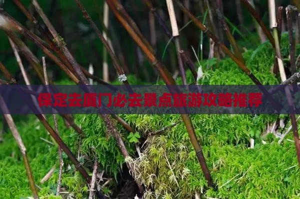 保定去厦门必去地