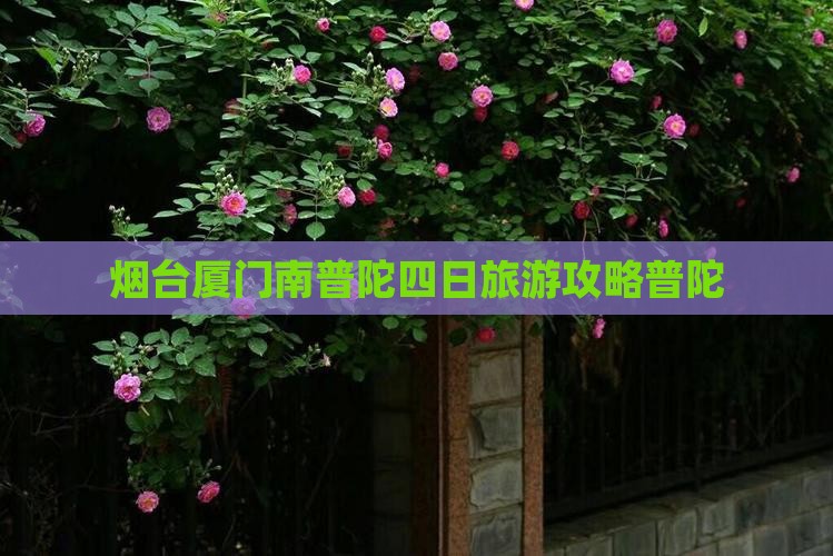 烟台去厦门南普陀四日游