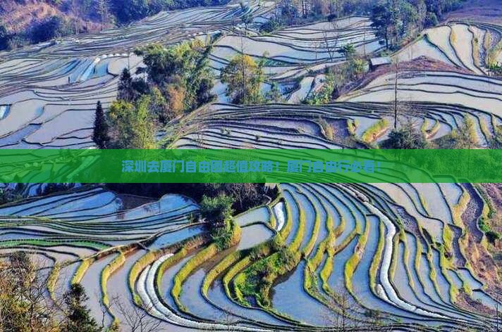 深圳去厦门自由团