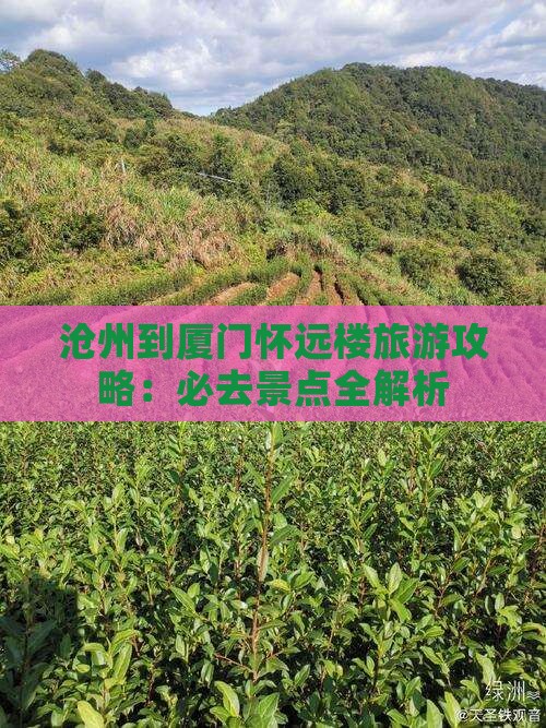 沧州到厦门怀远楼旅游