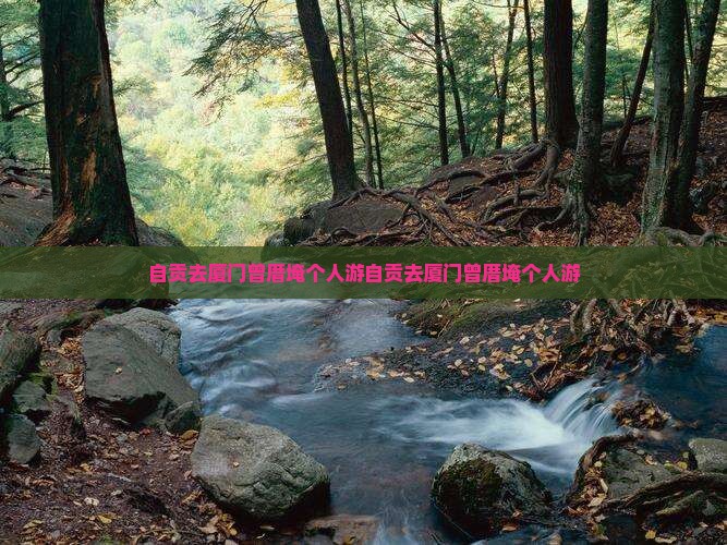自贡去厦门曾厝埯个人游