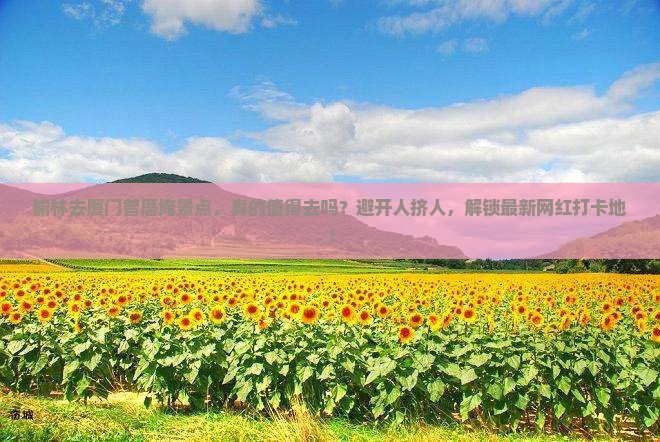 榆林去厦门曾厝埯景点